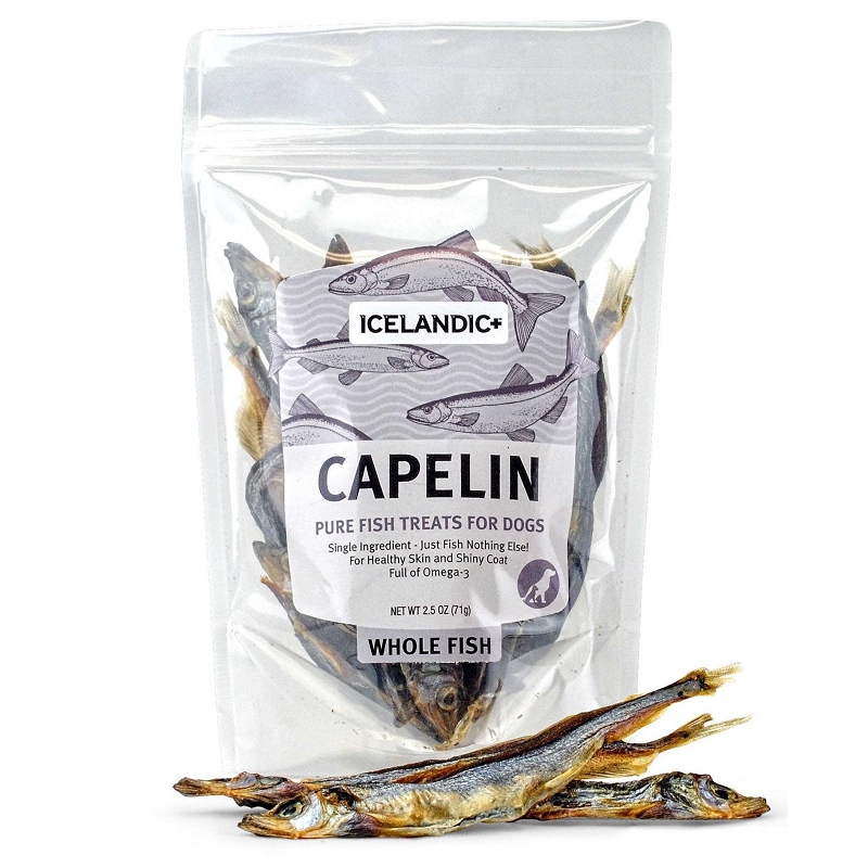 capelin