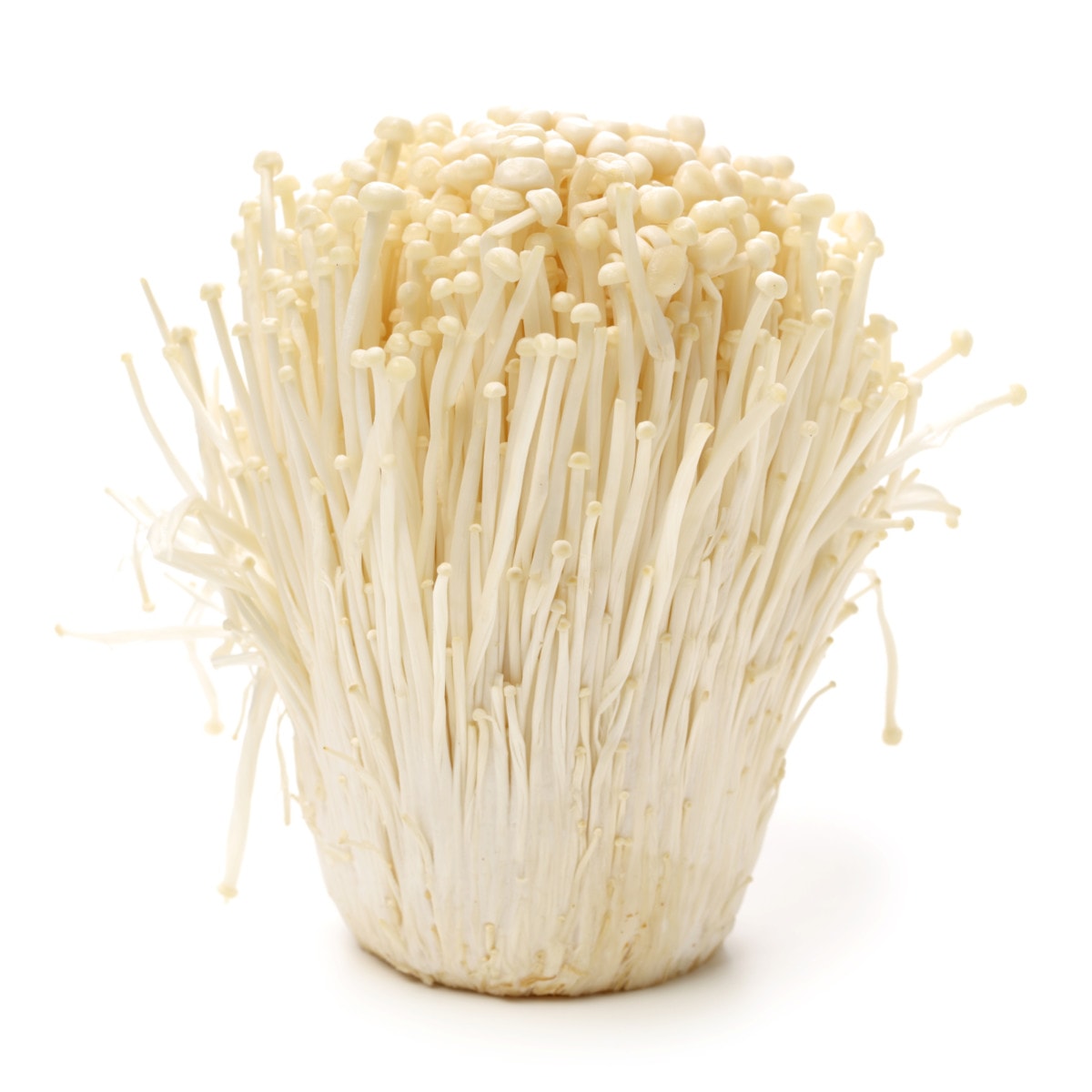enoki
