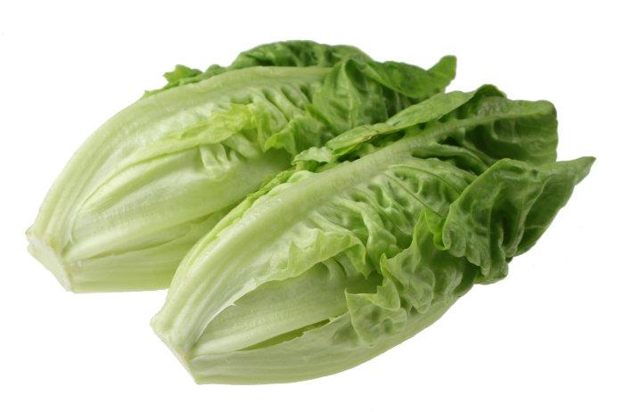romaine