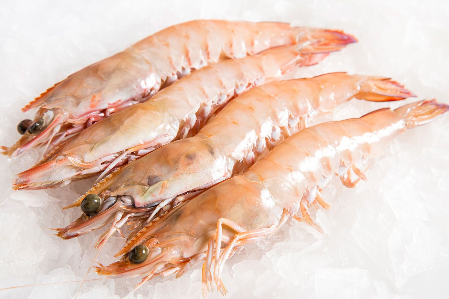 shrimps